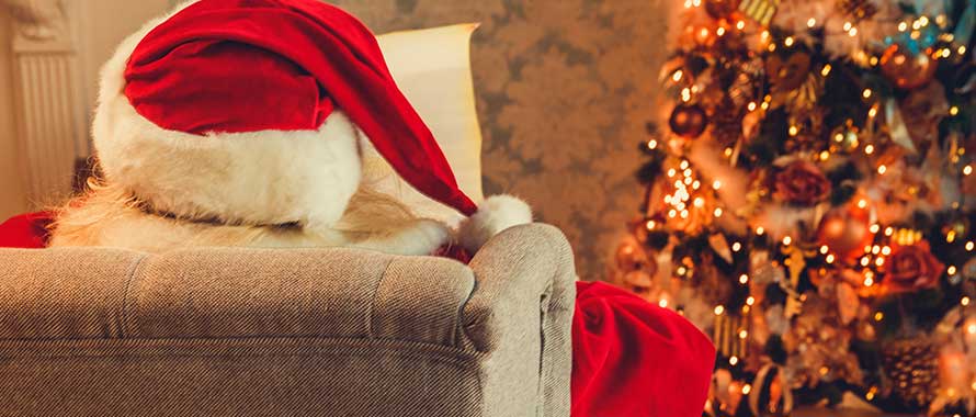 santa_20181220.jpg|santa_20181220.jpg|santa_20181220-300×128.jpg|santa_20181220-768×328.jpg |||