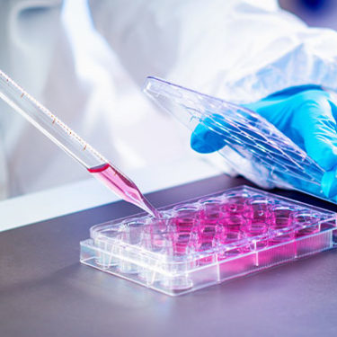56 Pediatric Patients’ Stem Cells Destroyed in Hospital Freezer Failure