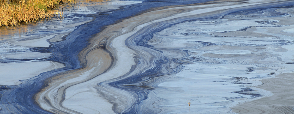 Absolute and Strict Liability Absolute and Strict Liability