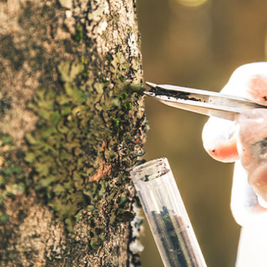 Environmental Insurance Market Overview