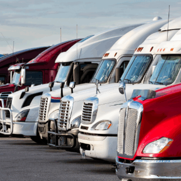 Video: Transportation Loss Mitigation