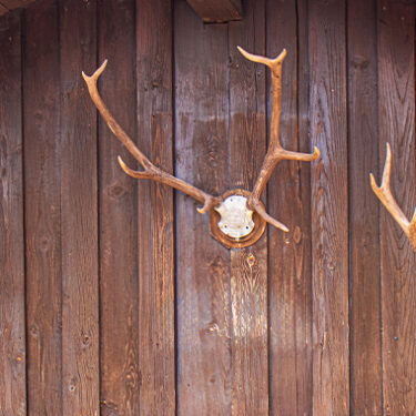 Lawsuit: Customers ‘Severely’ Injured by Falling Antlers at LongHorn Steakhouse
