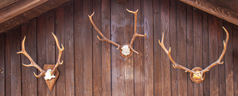 Lawsuit: Customers ‘Severely’ Injured by Falling Antlers at LongHorn Steakhouse